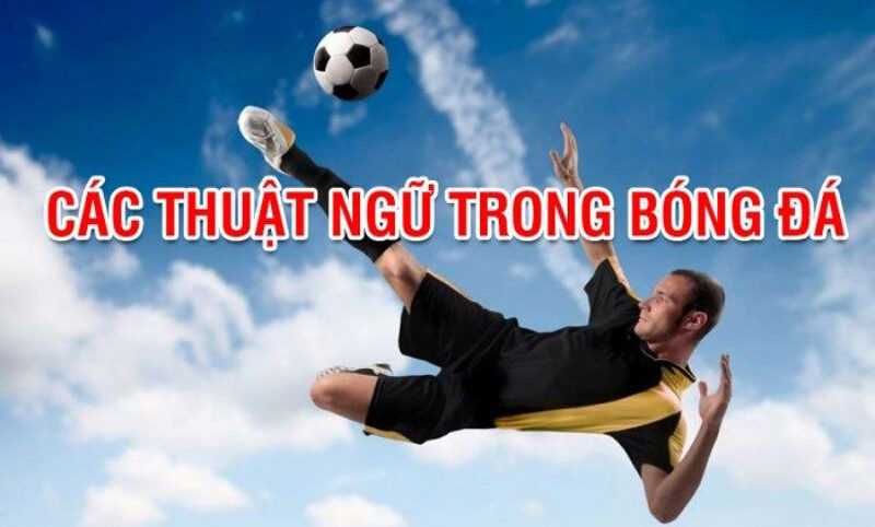 Các thuật ngữ trong bóng đá