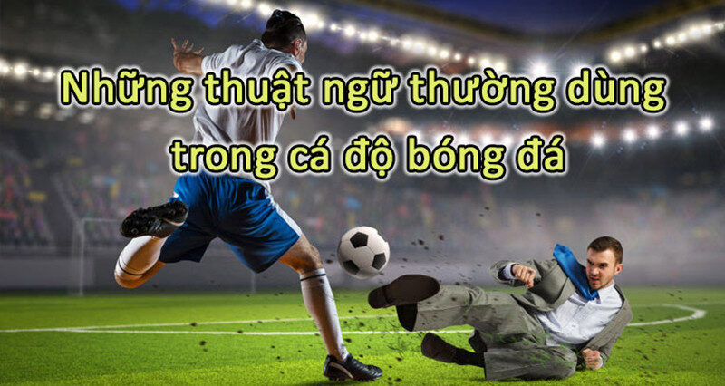 Thuật ngữ bóng đá